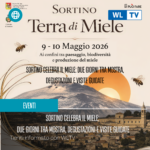 Api e biodiversità: Sortino celebra il miele con mostre e degustazioni