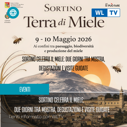 Api e biodiversità: Sortino celebra il miele con mostre e degustazioni